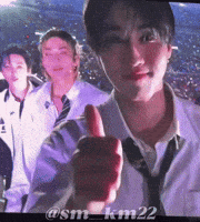 Stray Kids GIF