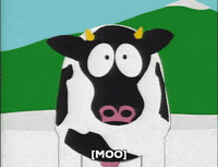 GIF by South Park 