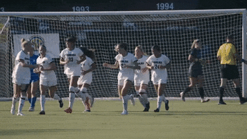Ncaa Soccer Celebration GIF by gamecocksonline