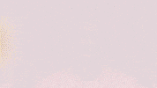 Football Sport GIF by FC Red Bull Salzburg