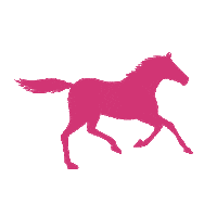 Horse Sticker by Pferdesporthaus Loesdau