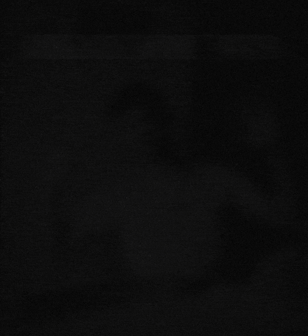 You Win GIF