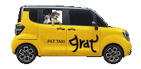 grat_app taxi 고양이 강아지 귀여워 Sticker
