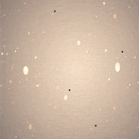 Oaxaca GIF by COBAO