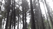 ThenexSportOG thenex thenexsport GIF