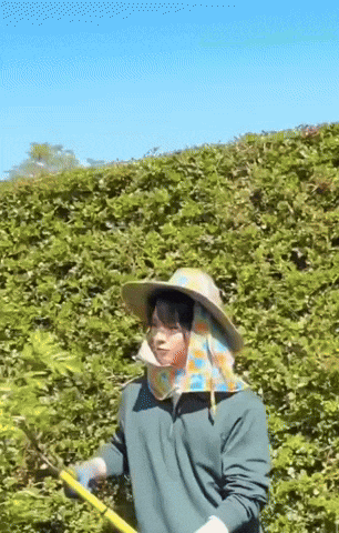 Thai Win GIF