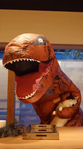 cuteanimalland giphyupload GIF