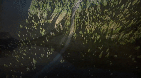 Clem2022film giphyupload GIF