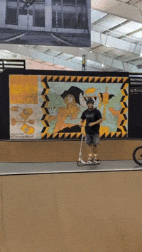David Scooter GIF