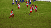 GIF by Sport Club Penedense