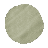 Light Green Sticker Sticker by Mollie Suss