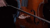 Music Video Rap GIF by Casanova Records