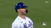 Excited Ny Mets GIF by New York Mets