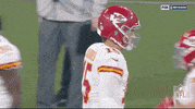 Kansas City Chiefs Football GIF by NFL