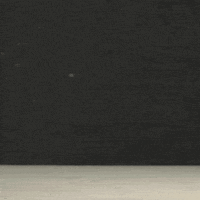 brooks brothers toast GIF