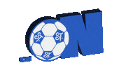 Game On Soccer Sticker by Saint Theresa Bilingual School