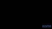 Fitness Health GIF by RENPHO