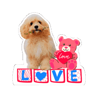 Love Sticker