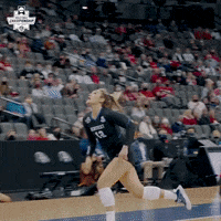 Happy Kentucky Wildcats GIF by NCAA Championships