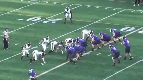 bradmcdaniel giphygifmaker GIF