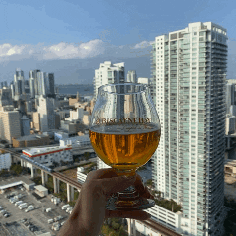 City Life Beer GIF by Biscayne Bay Brewing