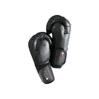 Wushu Armas Sticker by TKA Kung Fu