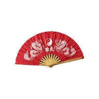 Wushu Armas Sticker by TKA Kung Fu