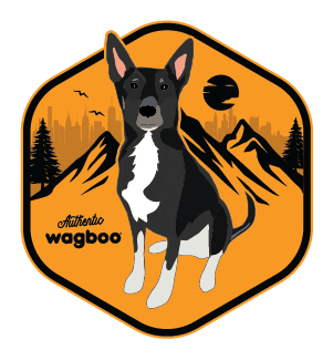 Dogs Adventure Sticker by Wagboo