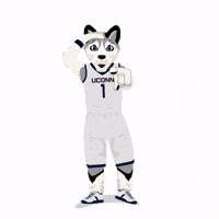 College Basketball Ncaa GIF by SportsManias