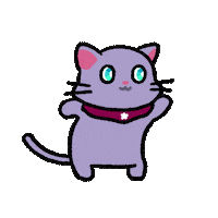 Dance Cat Sticker by Chimpers