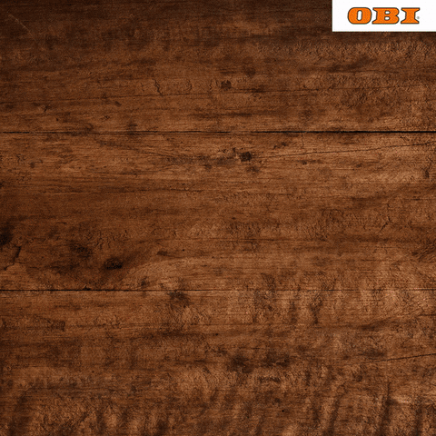 obi_russia giphyupload GIF