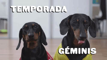 Temporada GΓ©minis