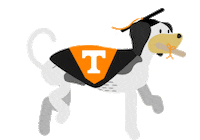 Ut Alumni Graduation Sticker by University of Tennessee, Knoxville Alumni