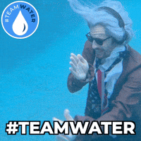 Mr Beast GIF