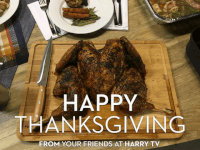 GIF by HARRY