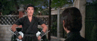 martial arts challenge of the ninja GIF by Shaw Brothers