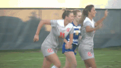 williams cnws18 GIF by Carson-Newman Athletics