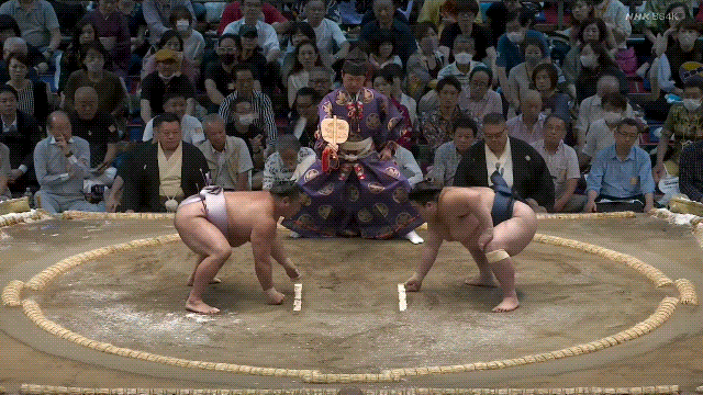 TZ85 giphyupload sumo 2023 nagoya basho kotoeko GIF