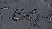 fashion GIF by Bergdorf Goodman