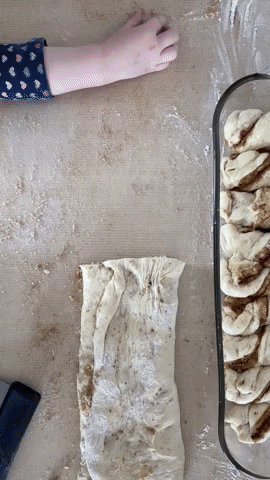 brenaloubakes giphyupload GIF