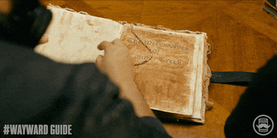 Wayward Guide GIF by Tin Can Bros