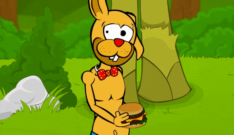 rabbit deal with it GIF by Estudios Animeco