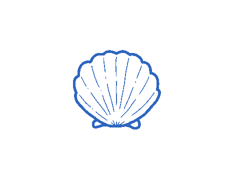 Muschel Sticker by Lisawebdesign