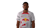 Benjamin Henrichs Football Sticker by RB Leipzig