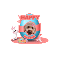 Dogs Easter Sticker by Milagency