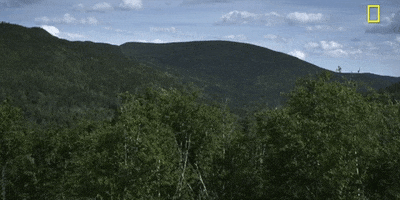 Episode 1 GIF by National Geographic Channel