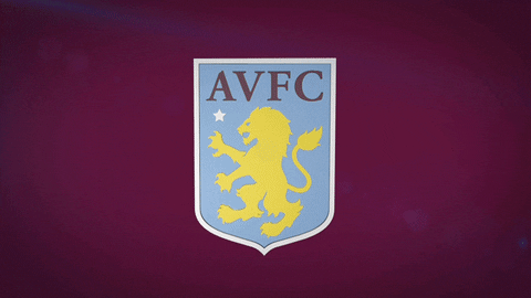 Premier League Football GIF by Aston Villa FC