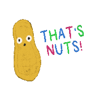 Nuts Peanut Sticker