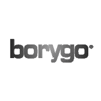 Borygo_Boryszew borygo boryszew Sticker