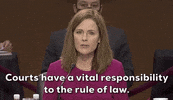 Senate Judiciary Committee GIF by GIPHY News
